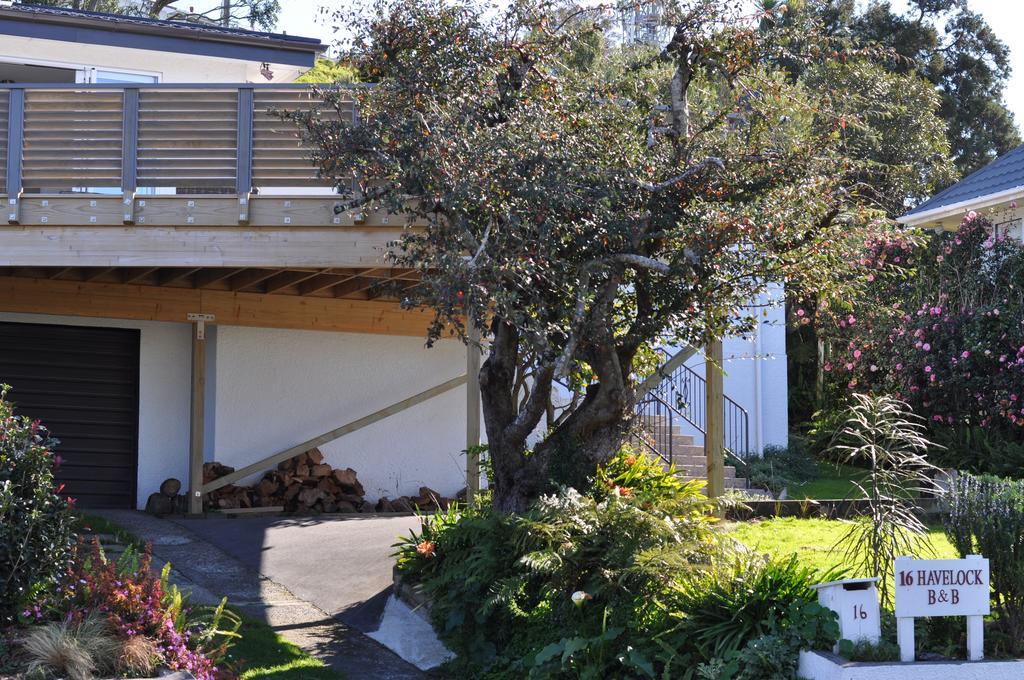 16 แฮฟลอค เบดแอนด์เบรคฟาสต์ Bed & Breakfast นิวพลีมัธ ภายนอก รูปภาพ