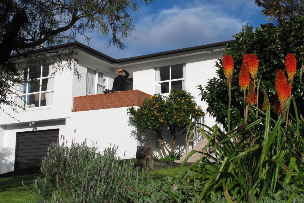 16 แฮฟลอค เบดแอนด์เบรคฟาสต์ Bed & Breakfast นิวพลีมัธ ภายนอก รูปภาพ